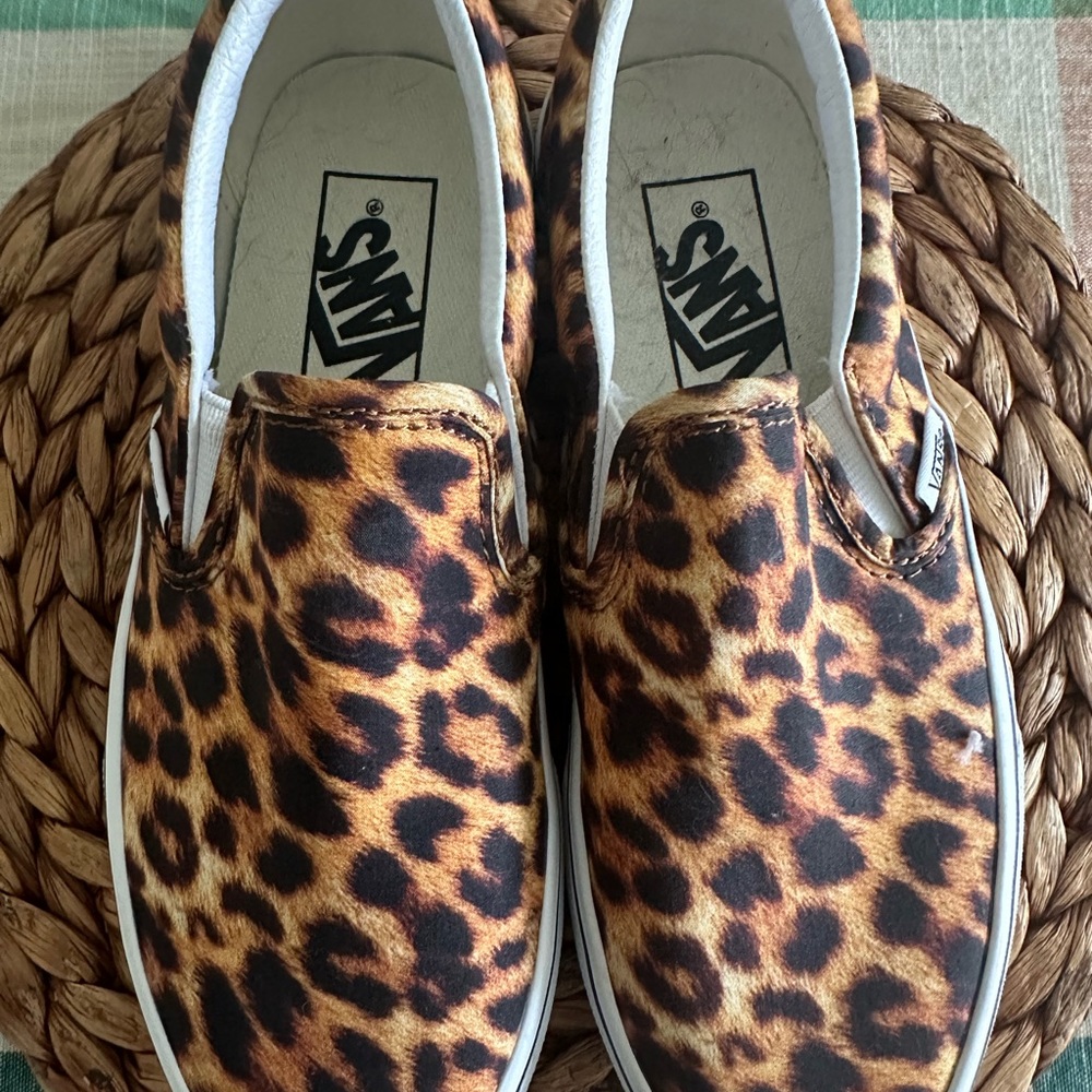 Vans slip on